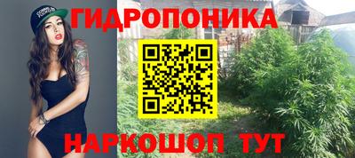 наркотики Малгобек