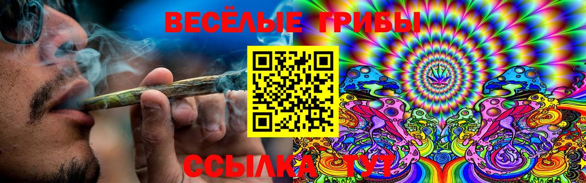Псилоцибиновые грибы GOLDEN TEACHER Пенза